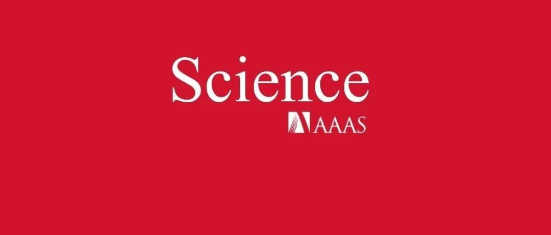 上硅所最新《Science》：催化剂研究取得突破！