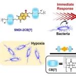 Angew：具有即时细菌响应性的超分子硫代萘二酰亚胺可作为实时NIR-II光热抗菌药物