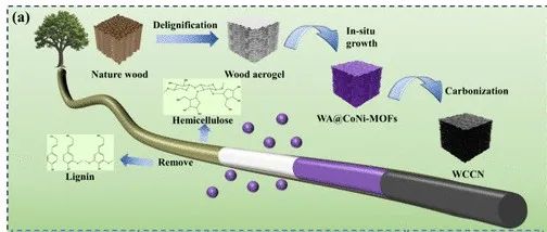 山东科技大学《ACS ANM》：由CoNi纳米颗粒改性木质超轻多孔碳气凝胶，用于红外隐身和多波段微波吸收