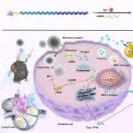 ACS Nano：自组装糖肽可作为生物相容性mRNA疫苗平台以引发强大的抗肿瘤免疫