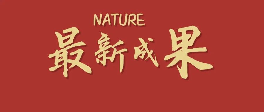 创纪录！西安交大/上海交大最新Nature！