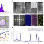 献礼五一！西安交通大学合作最新Nature
