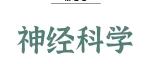 Alz Res Therapy丨揭示山茱萸新苷通过促进线粒体自噬缓解Aβ1&#8722;42诱导的认知障碍的机制