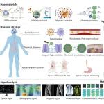 ACS Nano：Pd@Au纳米框架水凝胶用于实现闭环伤口治疗