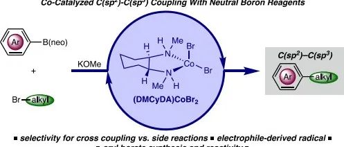 Cobalt-Catalyzed C(sp2)&#8722;C(sp3) Suzuki&#8722;Miyaura Cross Coupling