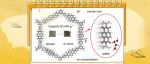 【JACS】二维共价有机框架中的解耦太阳能转换和电荷存储对太阳能电池功能的启发