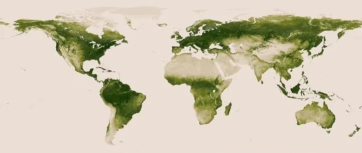 Nature Plants | 植物性状塑造全球光合效率时空变化