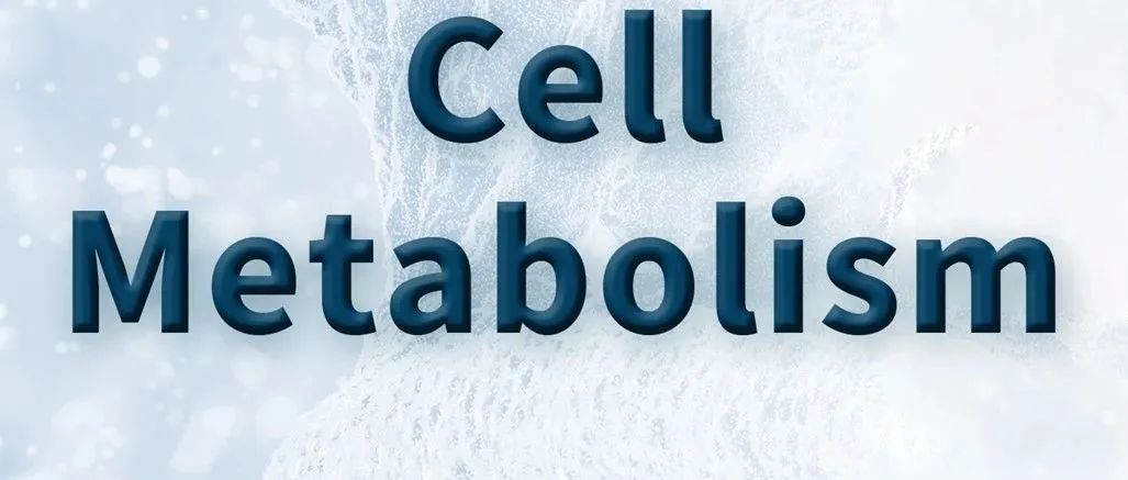 专家点评Cell Metabolism丨储以微/骆菲菲团队发现Foxp3通过代谢重编程提升CAR-T细胞抗实体瘤治疗疗效
