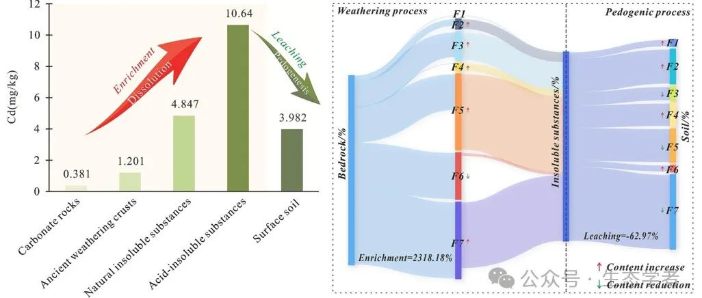 Chemical Geology | 中国地质大学（北京）杨忠芳：岩溶地质高背景区土壤Cd富集机制探究