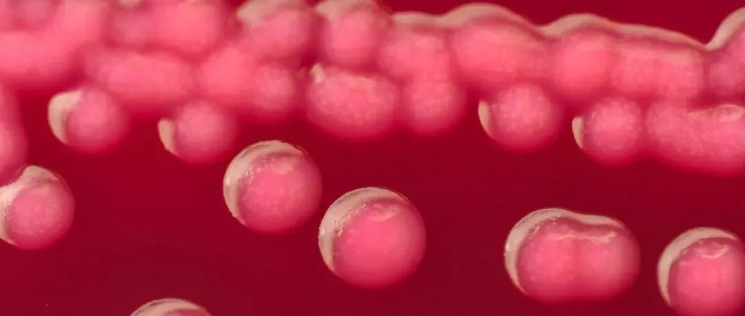 这种致命癌症正在中青年中蔓延，《自然》：根源竟在童年｜雄激素是长寿的关键阻碍，阉割可延长寿命｜本周值得读