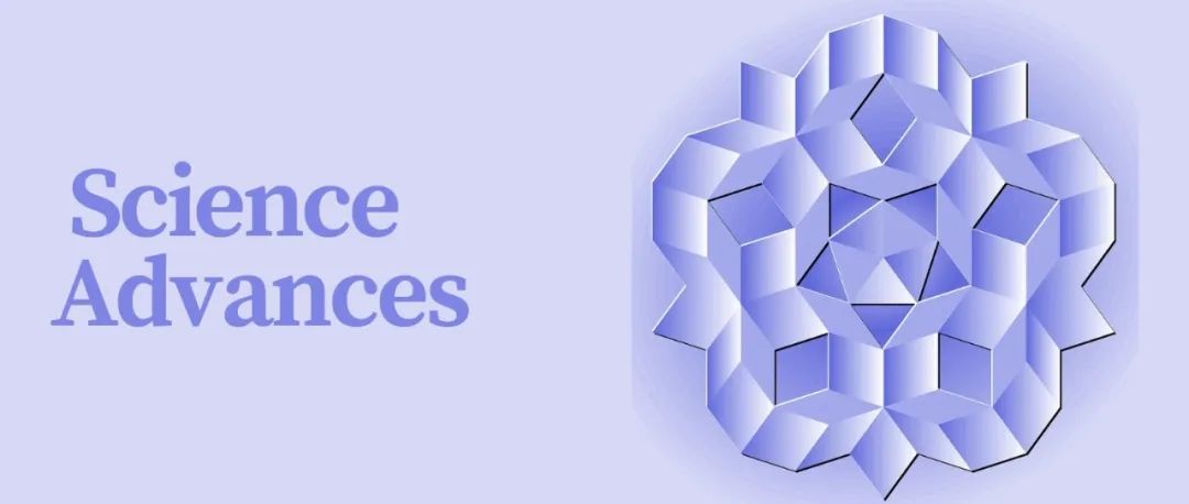 袁小聪/杜路平团队Science Advances：光子自旋准晶