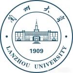 兰州大学硕士生第一作者在顶级期刊（IF=30.2）发表研究成果，让时光倒流的“微型闪电”
