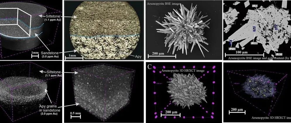 Geosci. Front. | 东北亚地区造山型金矿含金毒砂综合研究：HRXCT、LA-ICP-MS与EMPA数据