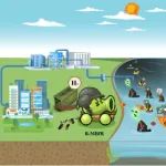 桂林理工李海翔团队WR：中空纤维布局对氢基质膜生物膜反应器脱硝性能及机理的影响——基于流体力学、生物生态学和生物动力学综合研究