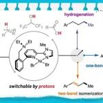 【JACS】南科大王健纯：质子源调控的镍氢电催化氢化及异构化反应
