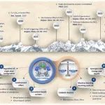 AM综述：类芬顿单原子催化剂的“活性-稳定性”协同策略