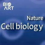Nat Cell Biol | FAST CHIMP系统揭示有丝分裂过程中的染色体动力学