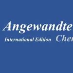 清华大学肖海团队，Angew！