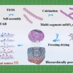 【JACS】赵东元院士/赵天聪：逐步自组装策略合成具有多段结构的介孔SiO&#8322;纳米竹用于增强绝热性能