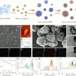 深圳大学刘卓鑫/轷喆&港科广黄扬ACS Nano：基于MXene中空微球的热电池纳米复合电极设计
