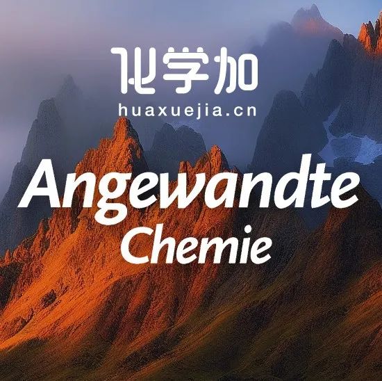 Angew | 华东理工大学介观动力学指导短流程工艺及催化剂开发研究新进展