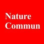 包信和院士领衔！大连化物所傅强，最新Nature子刊！