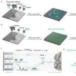 高悦课题组Advanced Materials：活性有机盐实现非侵入式电解液预钠化策略