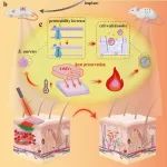 四川大学华西口腔医院杨佼佼副研究员、韩波副主任医师 ACS AMI：给光热材料盖上生物囊泡被褥从而提升敷料的抗菌性能