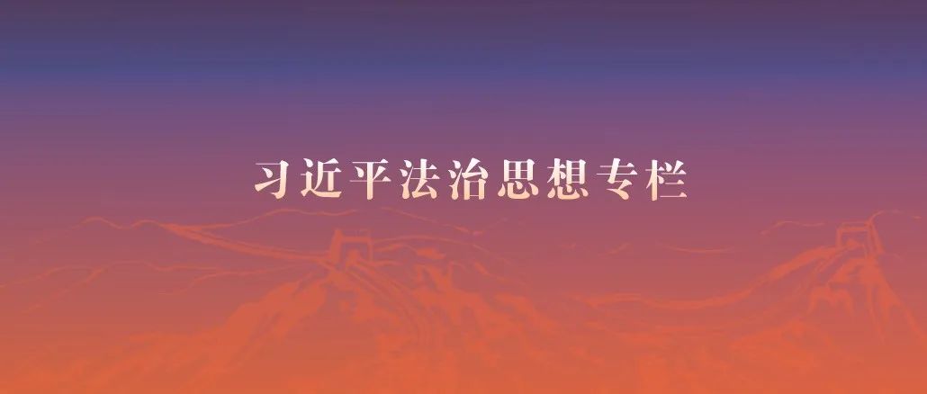 付子堂：新质生产力视野下的人工智能立法研究
