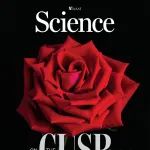 Science一周新闻｜在鸟类数量最多的北美，鸟类正以最快的速度消减