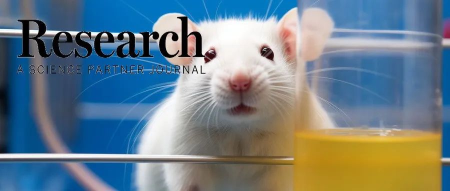 Research丨菌群治疗新热点:空军军医大学张惠/邝芳/武胜昔团队发现菌群-代谢物-脑轴调控改善发育期七氟醚暴露引起的社交异常