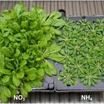 研究成果发表在Nature Genetics/Nature Communications等期刊，他将领衔主讲基因编辑实操演练课程