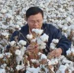 西北农林科技大学硕士毕业，现为新疆农科院研究员，“天山英才”领军人才，获发明创业奖最高奖！