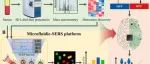 Adv Sci丨福建师范大学王静研究开创了一种集成生物标志物发现的SERS纳米技术方法
