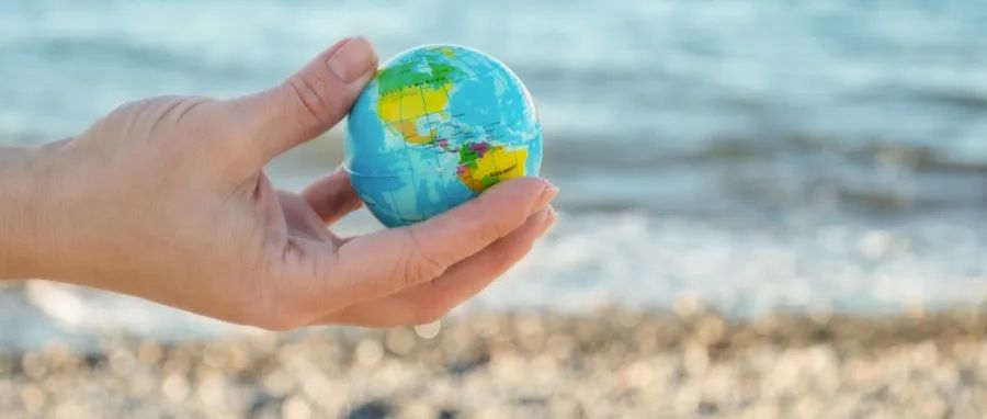 山东大学Science Advances｜污水碱化的全球近海增汇效率研究
