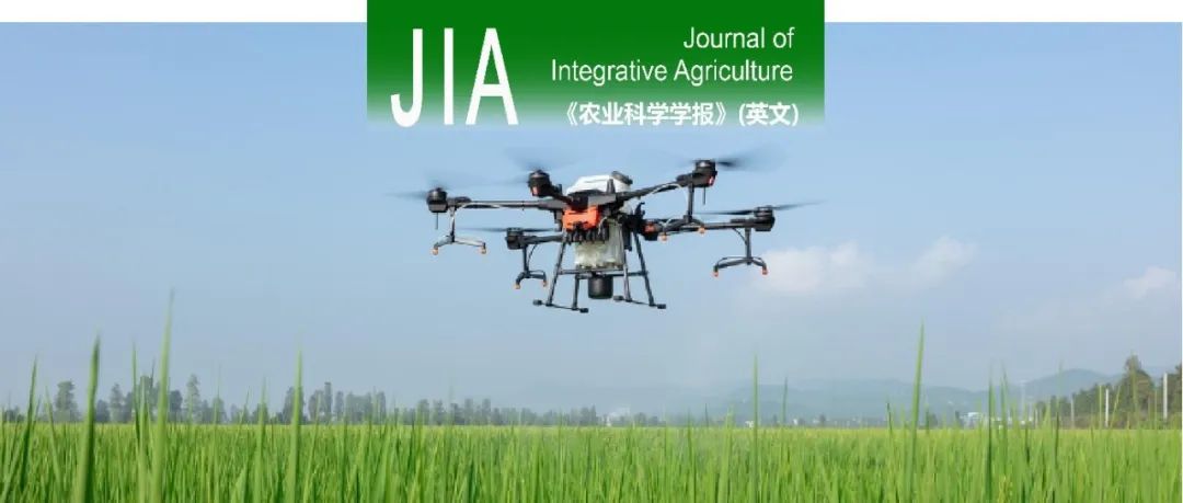 JIA｜扬州大学智慧农业研究院孙成明教授课题组基于改进卷积特征的小麦全生育期生物量估测研究