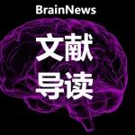 Neuroimage：宣武医院卢洁教授团队揭示内侧颞叶癫痫发作间期抑制性脑网络机制
