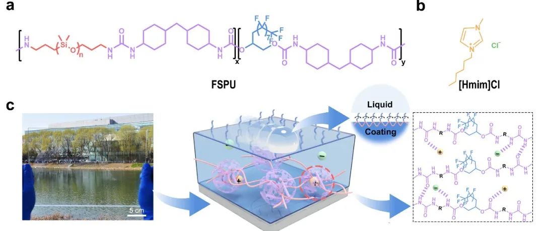 吉林大学李洋课题组 AFM：通过离子液体阴离子-阳离子协同作用解锁固体全疏光滑涂层的室温自修复