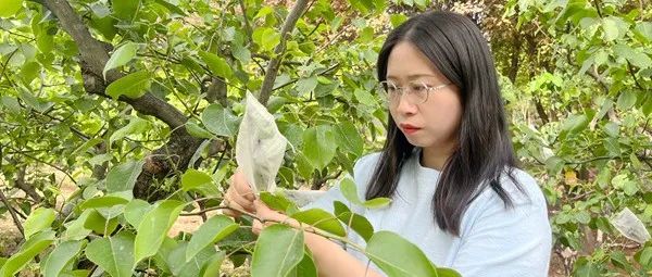 祝贺！西北农林科技大学“90后”教授