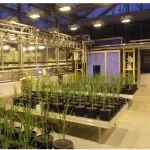 研究成果发表在Nature Genetics/Nature Communications等期刊，他将领衔主讲基因编辑实操演练课程