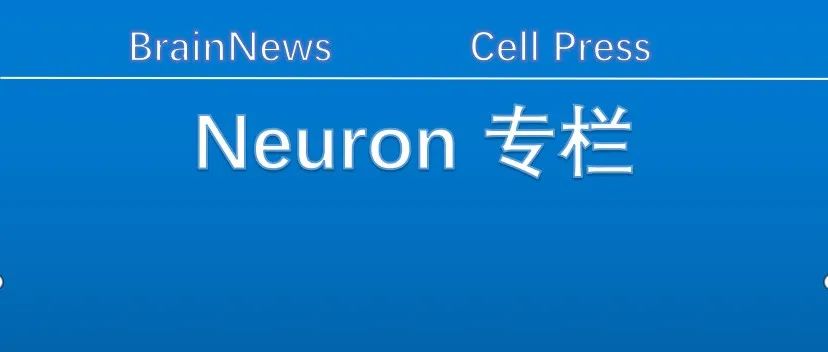 Neuron：中科院深圳先进院脑所谭力铭课题组提出理解“眼-脑环路”可塑性的新理论框架