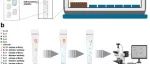 Nat Commun | 中国科学院李炯等研究团队合作提出Lab-in-a-Tip：基于自组装条形码蛋白阵列的多重免疫检测平台