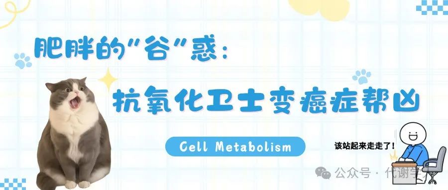 Cell Metabolism：肥胖的“谷”惑：抗氧化卫士变癌症帮凶