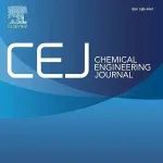 西工大李鹏教授/冯涛副教授CEJ：抗氧化剂和免疫调节剂纳米工程化益生菌协同治疗炎症性肠病