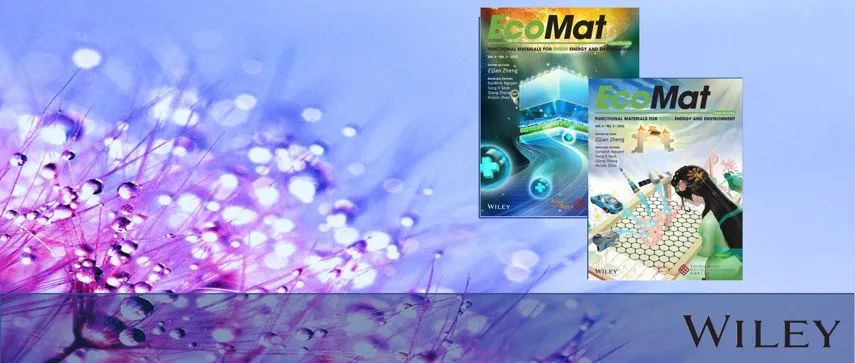 郑子剑EcoMat：电流依赖性耦合行为启示的宽电流范围可循环锌金属负极