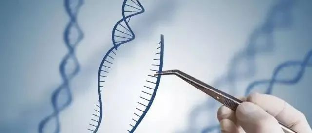张锋团队2025 年连发Science/Cell/Nature子刊：开发新的编辑器