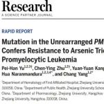 Research&#160;| 浙大团队解密PML等位基因突变介导急性早幼粒细胞白血病三氧化二砷耐药的分子机制