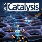 鄂尔多斯实验室绿色能源团队ACS catalysis：在合成气转化催化剂研究中取得新进展