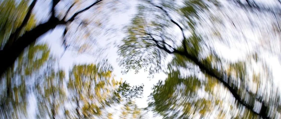 患者主诉“头晕”，临床如何鉴别诊断？