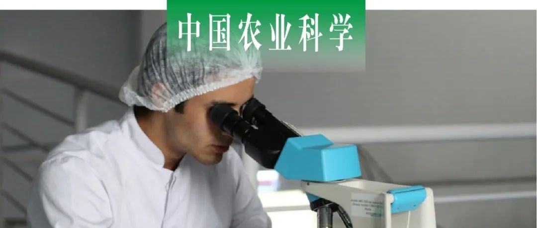中国农业科学｜南京师范大学徐以恒综述“基因编辑农作物”专利规制的困境及出路